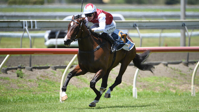 De Armas added black type to her unbeaten record in Saturday's Listed Counties Challenge Stakes (1100m).  - Photo: Kenton Wright (Race Images)