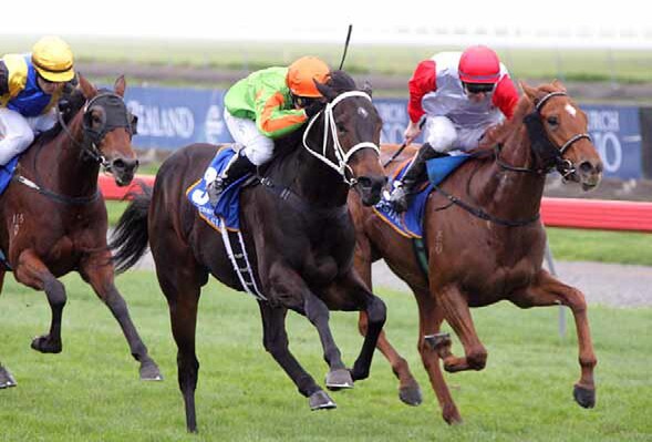 Salamanca (nearest camera) takes out the Champagne Stakes at Riccarton - Photo NZTM website