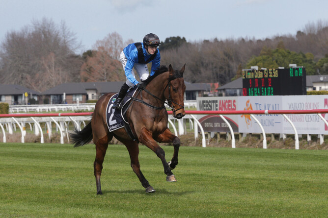 Gr.1 New Zealand 2000 Guineas placegetter Shoma - Photo: Trish Dunell