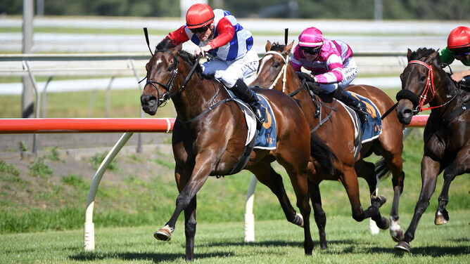 Midnight Edition winning the Gr.3 Concorde Stakes (1200m) at Pukekohe on Saturday.  - Photo: Kenton Wright (Race Images)