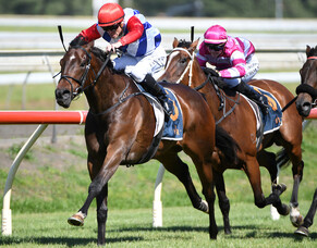 Midnight Edition claims Concorde Stakes