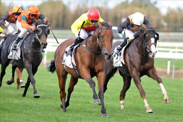 Decorah wins the Gr.3 Swap Stockfoods Manawatu Breeders’ Stakes 10.04.15 - Picture courtesy of Race Images