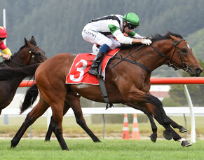 Cambridge Stud secures Not An Option