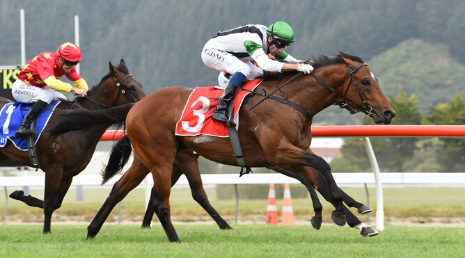 Not An Option winning the Gr.2 Wakefield Challenge Stakes (1100m). Photo: Race Images