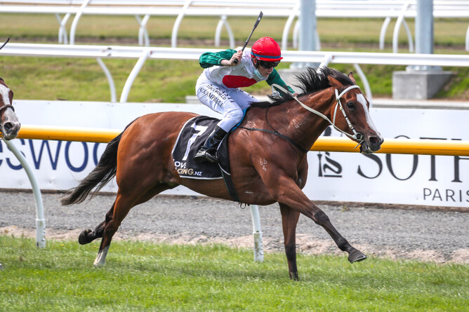 Monza Circuito takes out the Listed Speight’s Timaru Stakes (1400m) at Riccarton Photo Credit: Race Images South