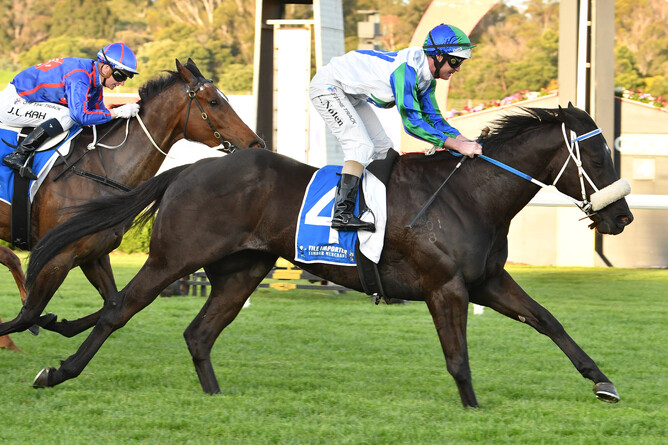 I Wish I Win -  Listed Tile Importer Testa Rossa Stakes (1300m) at Sandown - Photo:  Quentin Lang
