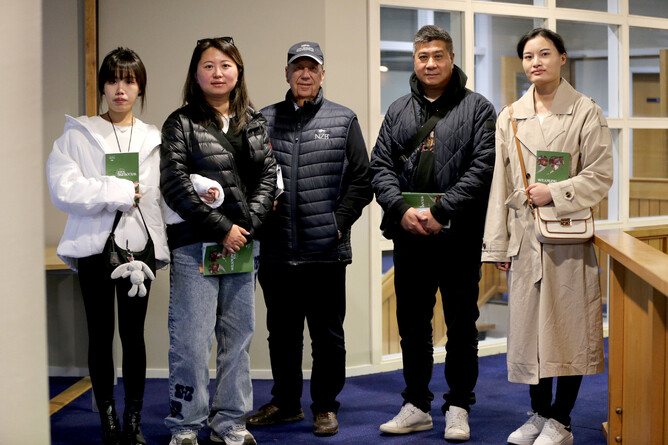 New Zealand Bloodstock National Weanling Sale leading vendors Raptors Thoroughbred - Photo: Trish Dunell