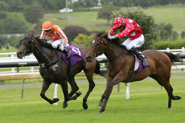 Espresso Martini (High Chaparral-Keepa Cruisin) winning the Listed Trevor Eagle Memorial 3YO - photo Racing Images