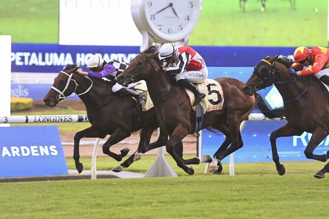 Osipenko (inside) prevails in the Gr.2 Hobartville Stakes (1400m) - Photo: Bradleyphotos.com.au