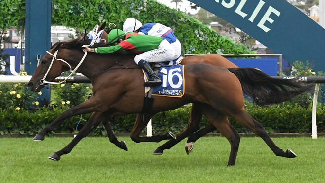 Trav winning Saturday's Gr.2 Barfoot & Thompson Auckland Cup (3200m) at Ellerslie.   - Photo: Kenton Wright (Race Images)