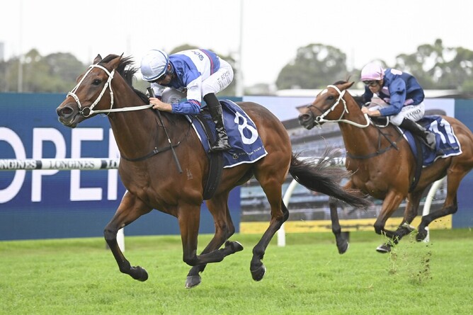 Mightybeel defeats No Compromise in the Listed Parramatta Cup (1900m) at Rosehill - Photo: bradleyphotos.com.au