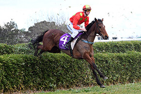 Trotter&rsquo;s Kick Back with Pakuranga Hunt Success