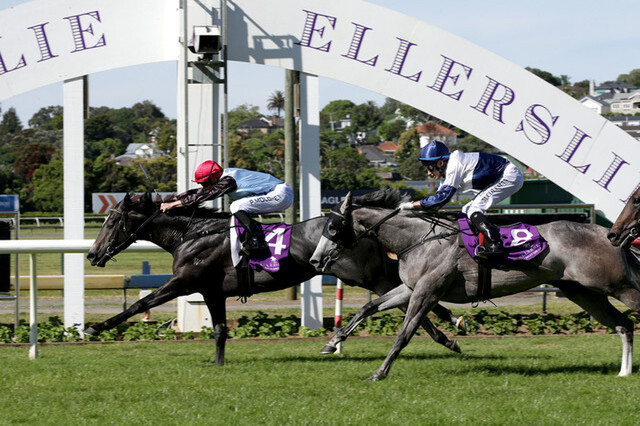 On The Rocks winning the Avondale Guineas