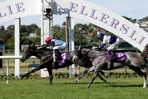 Alamosa&#039;s derby hopeful On The Rocks