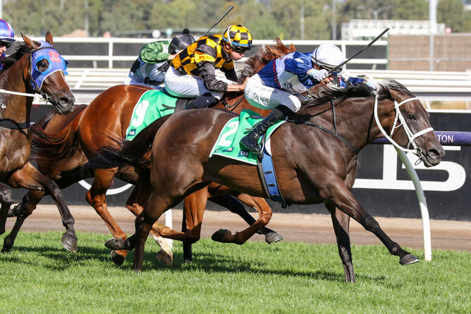 Atishu scored a strong victory in the Gr.2 Blamey Stakes (1600m) at Flemington on Saturday.  - Photo: Bruno Cannatelli