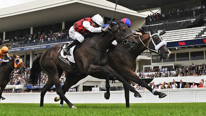 El Vencedor winning the Gr.1 Bonecrusher New Zealand Stakes (2000m) at Ellerslie on Saturday.   - Photo: Kenton Wright (Race Images)