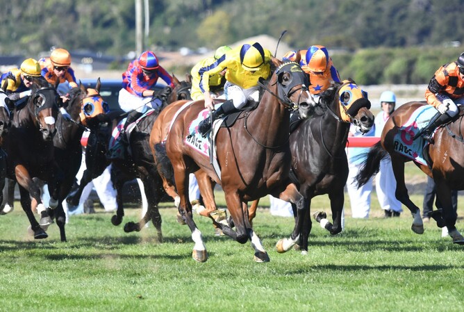 Waitak winning the Gr.2 Awapuni Gold Cup (2100m) at Trentham on Saturday.   - Photo: Peter Rubery (Race Images)