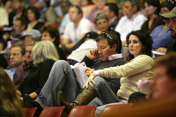 Lisa Chittick at the New Zealand Bloodstock Yearling Sales - NZ Racing Desk