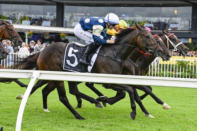 Gringotts scored his first Group One triumph in the A$1 million George Ryder Stakes (1500m) at Rosehill - Photo: Bruno Cannatelli