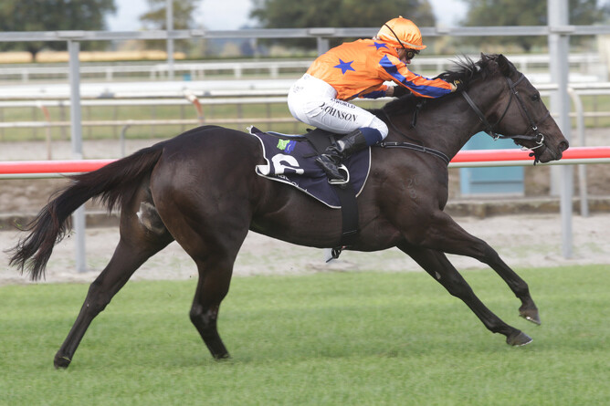 Synchronize winning at Matamata on Wednesday. Photo: Trish Dunell