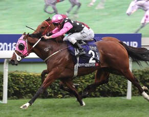 Nearco Stud bred Beauty Generation named Hong Kong Horse of the Year