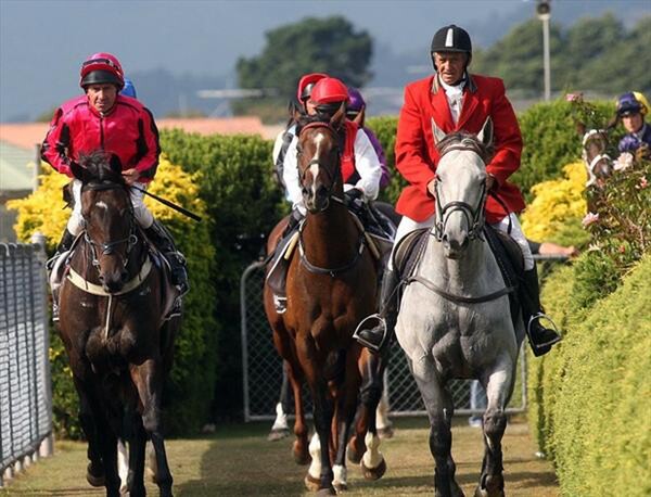 Natuzzi returns to scale after winning the Lightning Handicap at Trentham - Photo NZTM website