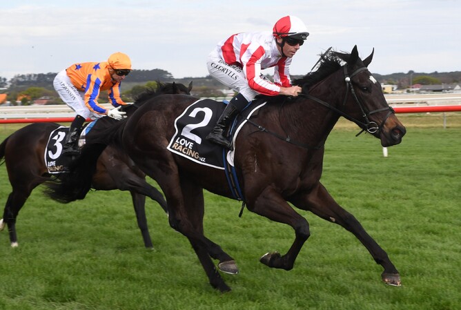 Trainer Robbie Patterson has some big plans ahead for impressive Gr.2 HS Dyke Wanganui Guineas (1200m) winner Read About It. - Photo: Race Images