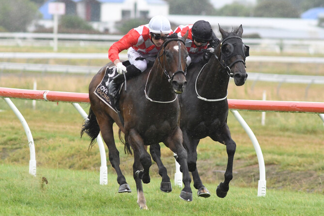 Hypnos winning the Gr.3 Powerworx Taranaki Cup (2000m) at Awapuni on Friday. Photo: Peter Rubery (Race Images Palmerston North)