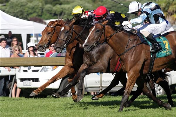 Booming pictured above in the blue silks with Vinnie Colgan on board. - Picture by equine photographer Trish Dunell