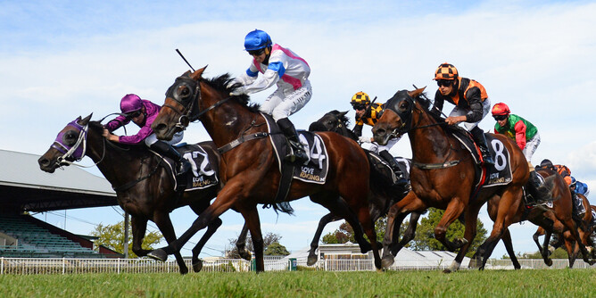 Llanacord digs deep to score her Group Two win. - Photo: Race Images