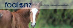 Early Education with Foal NZ