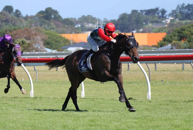 Tshiebwe winning the Listed Steelform Roofing Group Wanganui Cup (2040m) on Saturday.  - Photo: Jane Davidson