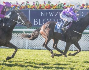 Miss Three Stars - Triumpant in Gp.3 Winter Cup