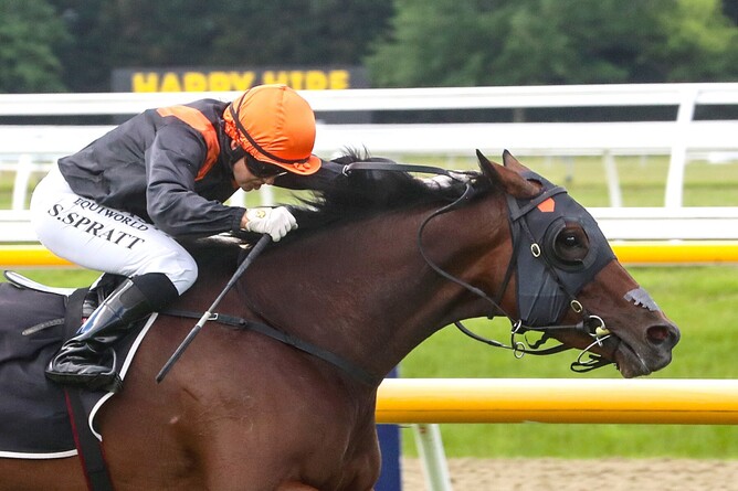 Mehzebeen winning the Listed Metropolitan Trophy (2600m) at Riccarton on Saturday.   - Photo: Ajay Berry, Race Images South