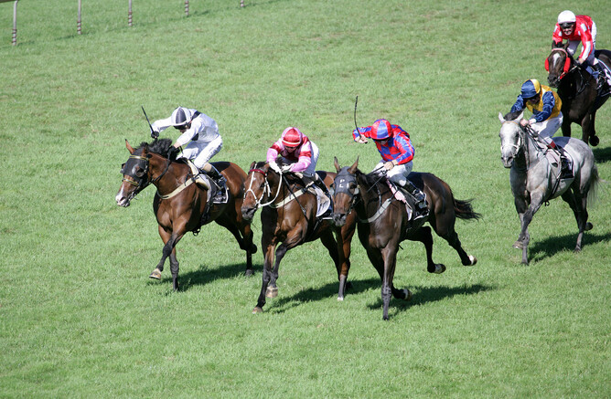 MacO'Reilly (Red & Blue colours) produces second Group 1 win for Wairarapa Breeders Jim & Mary Wallace - Picture courtesy of Trish Dunnell