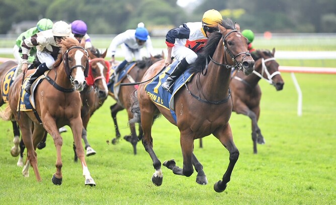 Devastate winning the Gr.3 Elsdon Park Wellington Stakes (1600m) at Otaki on Thursday. - Photo: Race Images