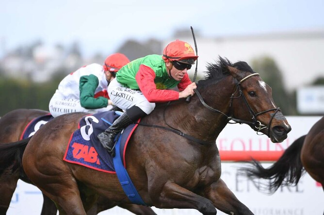 Astoria Brooke winning at Te Rapa on Saturday. - Photo: Kenton Wright (Race Images)