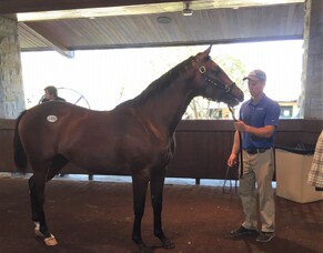 BLOG POST: Sam Bergerson