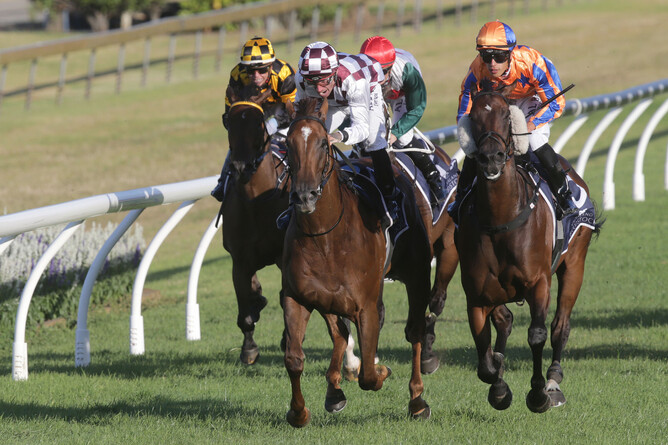 Babylon Berlin (middle, checks) fights out the finish to the Gr.3 Brighthill Farm Eminent First Yearlings Concorde Handicap (1200m) at Ellerslie with eventual runner-up Festivity (right)  Photo Credit: Trish Dunell