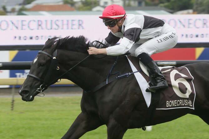 Underrated filly Opalescence dented several reputations when she swept to victory in Saturday’s Gr.3 Mitchell Family Bonecrusher Stakes (1400m) at Ellerslie.