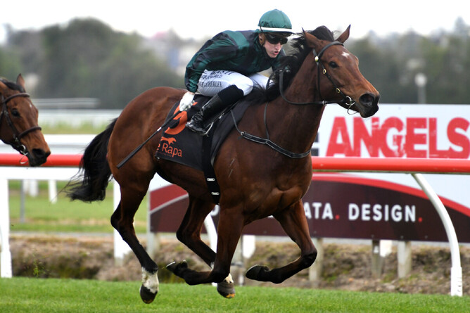 Francesca gets her spring campaign off to the best possible start with a win at Te Rapa Photo Credit: Race Images – Kenton Wright