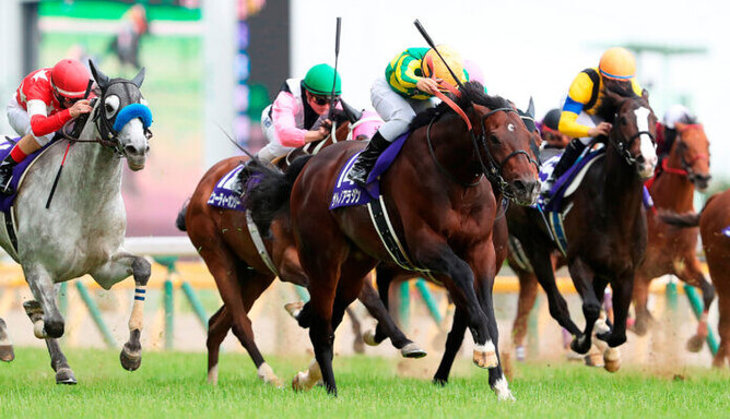 Satono Aladdin, the winner of the Gr.1 Yasuda Kinen (1600m).