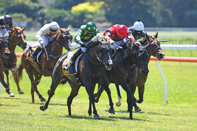 Rose 'N' Power (red) landed the Listed Courtesy Ford Levin Stakes (1200m) at Otaki on Thursday. Photo: Peter Rubery (Race Images Palmerston North)