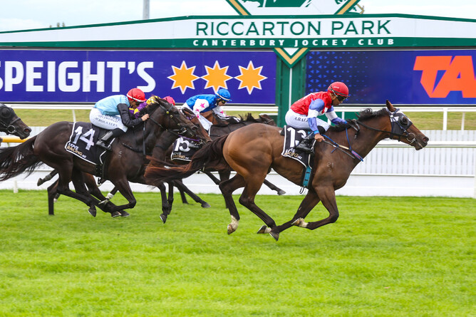 Tumuch winning Saturday's Listed Speight’s Timaru Stakes (1200m) at Riccarton.   - Photo: Ajay Berry (Race Images)