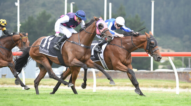 Gorbachev winning the Wellington Cup - photo credit racing images
