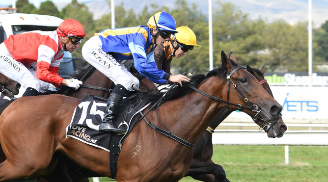 Joy Alone and Wiremu Pinn take out the Gr.3 Higgins Concrete Manawatu Classic (2000m) at Awapuni Photo Credit: Race Images