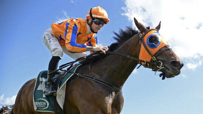 Qali Al Farrasha breaks through for a well-deserved stakes win in the Dunstan Horsefeeds Auckland Thoroughbred Breeders' Stakes (1400m).  - Photo: Kenton Wright (Race Images)