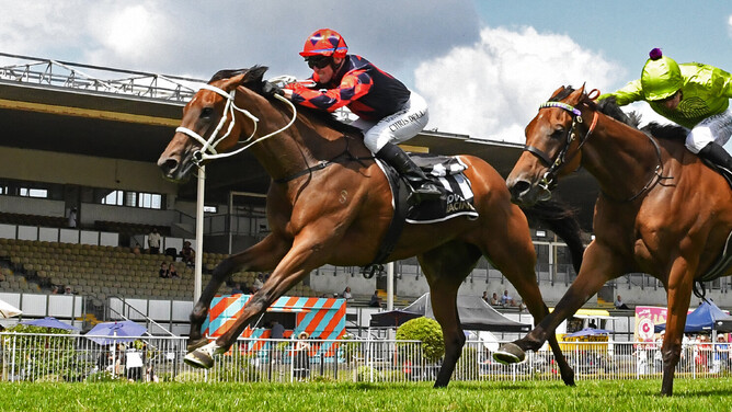 Risque Ruler winning at Te Rapa last Saturday.   - Photo: Kenton Wright (Race Images)