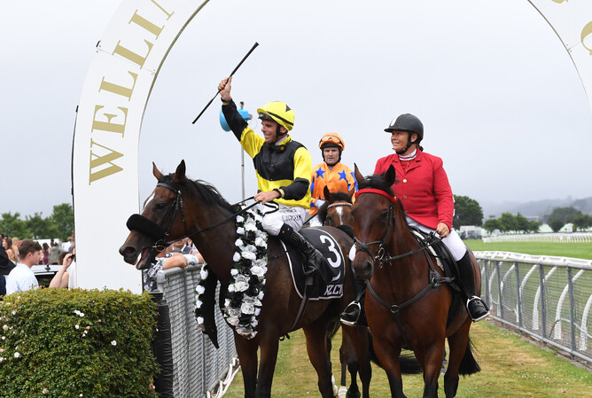 Craig Grylls completes a Group-double with Robbie Patterson aboard Mary Louise in the Gr.3 NZ Campus of Sport and Innovation Wellington Cup (3200m) - Photo: Peter Rubery (Race Images Palmerston North)