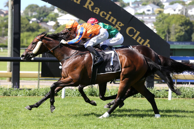 Festivity beats stablemate Vamos Bebe (obscured) in the Listed Hallmark Stud Handicap (1200m) Photo Credit: Trish Dunell
